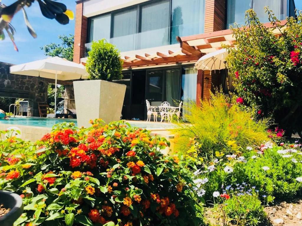 Villa No 5 Αλικαρνασσός Εξωτερικό φωτογραφία