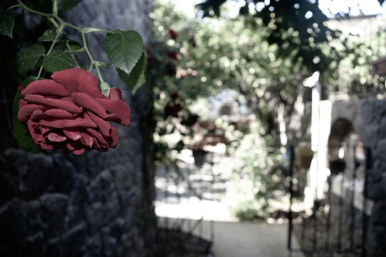 Villa No 5 Αλικαρνασσός Εξωτερικό φωτογραφία