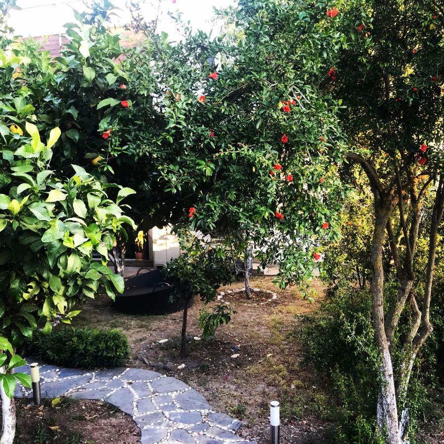 Villa No 5 Αλικαρνασσός Εξωτερικό φωτογραφία